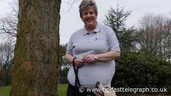 How assistance dog Echo helped Belfast woman Wendy recover from Covid and manage her diabetes