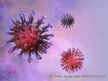Chhattisgarh records 274 new coronavirus cases, 5 deaths - Business Standard