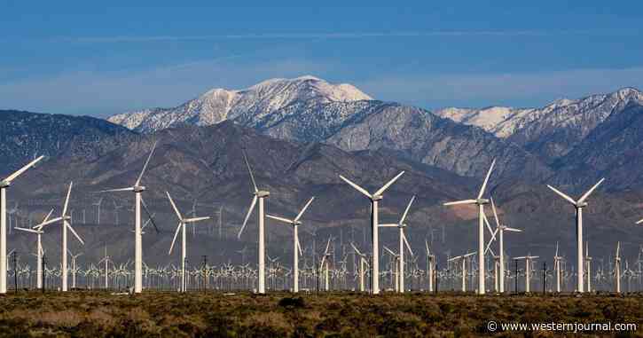 Frozen Wind Turbines in Texas Expose Major Flaw in Renewable Energy