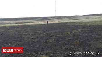 Winter Hill: Peat restoration accelerates 'moonscape' moor's recovery