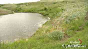 Municipalities of Saskatchewan to lobby province for wetland policy