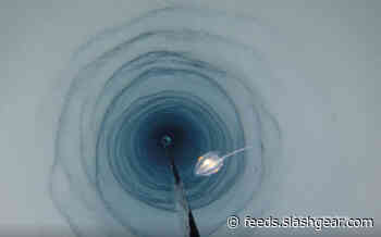 Half a mile beneath Antarctic ice, strange new life that scientists can’t explain