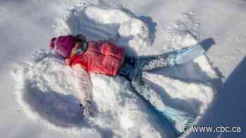 Several million without power in Texas as temperatures plunge as low as -20 C