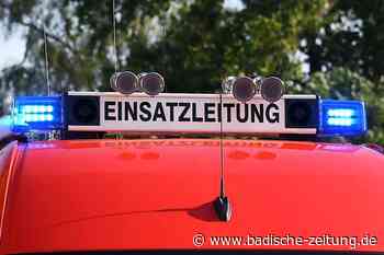 Coronakonforme Kür der Kommandanten - Steinen - Badische Zeitung