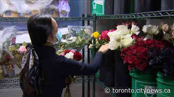Popular Toronto flower shop decides to pull back on Valentine’s Day rush - CityNews Toronto