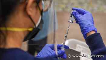 Contagious UK coronavirus strain found in Sedgwick County, Kansas’ 2nd variant case - Wichita Eagle