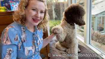 Barnes Festival hosts virtual 'Pet Parade'