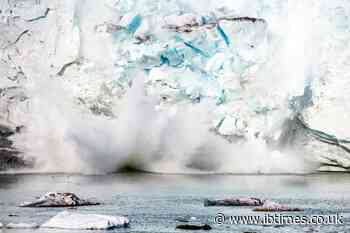 Scientists discover unidentified life forms in impossible conditions 900m below surface