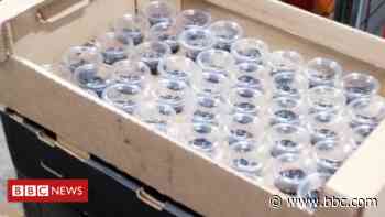Coronavirus: Priest providing 'takeaway ashes' for Ash Wednesday - BBC News