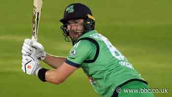 Ireland's home summer series against South Africa and Zimbabwe confirmed