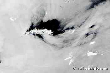 Alphabet Soup: Antarctic Icebergs Galore