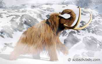 Climate Change – Not Overhunting by Humans – Likely Drove the Extinction of North America’s Largest Animals