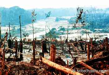 Formal “Protected Area” Designation Reduces the Rate of Deforestation but Does Not Prevent It