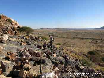 Remarkably Well-Preserved Fossils Helping to Solve Baffling Puzzle That Vexed Darwin