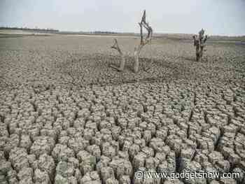 How a smart weather app is helping Kenya's herders brace for drought