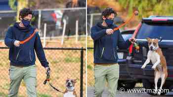Zach Braff's Dog Jumps for Joy at Prospect of Playing Fetch