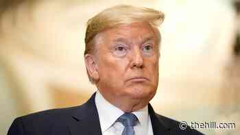 Majority don't think Trump should be allowed to hold future office: poll