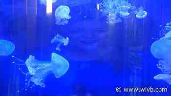 Fun at the Aquarium of Niagara while kids are off from school