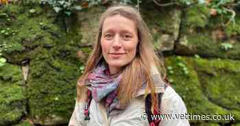 Mindset and strategy coaching membership launches - vet times