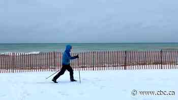 Parts of southern Ontario can expect near 40 cm of snow in total, Environment Canada says