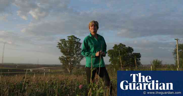 'Development should stop': serious flaws in offsets plan for new western Sydney airport