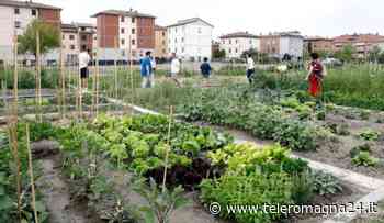 FORLI': Orti urbani, in arrivo il bando per l'assegnazione di 44 aree - Teleromagna24