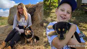 This brother-sister duo has raised almost $50K to help GTA animal rescues
