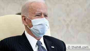 Biden to use 'more inclusive' immigration terms: report