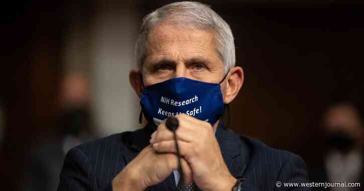 Fauci, Who Once Praised New York for ‘Correctly’ Responding to COVID, Goes Silent When Asked About Cuomo’s Scandal