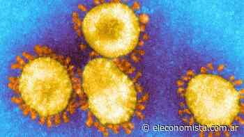 Detectan nueva cepa del coronavirus en Reino... - El Economista