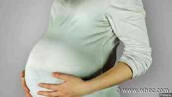 NY legalizes gestational surrogacy