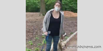 Charge dropped against white woman who called police on Black bird-watcher