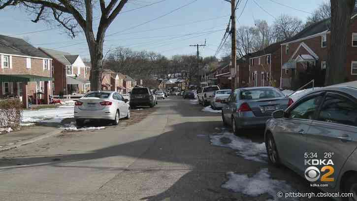 Postal Service Resumes Door-To-Door Delivery On Street In Beechview 3 Months After Dog Bites Mail Carrier