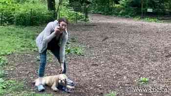 Case dropped against NYC woman who called 911 on Black birdwatcher in Central Park