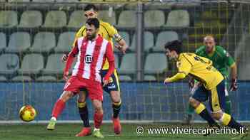 Modena cala il poker, sconfitta esterna per il Matelica - Vivere Camerino