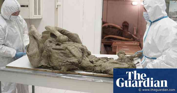 Russian lab to research prehistoric viruses in animals dug from melted permafrost