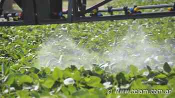 Continúa suspendida la aplicación de agroquímicos en la provincia de Buenos Aires - Télam