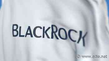 BlackRock presses energy companies to set 'rigorous' emissions targets