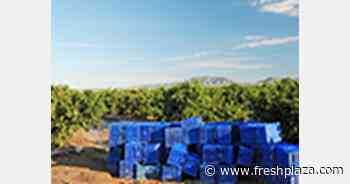 The main debate of the CAP revolves around its green architecture, according to the European Commission - FreshPlaza.com