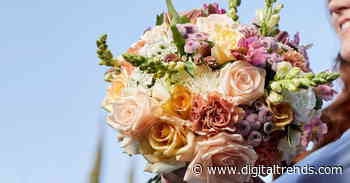 Best cheap flower delivery deals