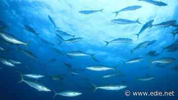 Thai Union launches its first sustainability-linked loan package, priced at $400m