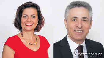 297 neue Unternehmen im Bezirk Neunkirchen - NÖN.at