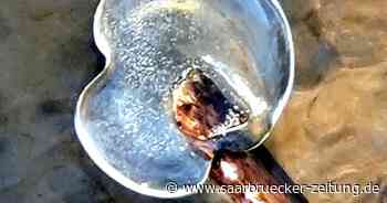 Leserfotos : Der Winter sagt dem Landkreis Neunkirchen „ade“ - Saarbrücker Zeitung