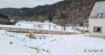 Bezirk Neunkirchen: Baum bohrt sich durch Fenster in Wohnhaus - KURIER