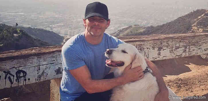 James Marsden Mourns Passing of Beloved Family Dog Buddy