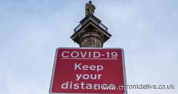 Faster-spreading Kent variant is now 'effectively 100%' of Newcastle Covid cases