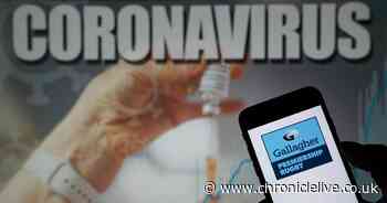 Newcastle Falcons' match cancelled after squad members test positive for Covid