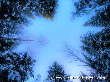 Achtung eh! | Bancroft this Week - Bancroft This Week