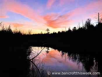 Provincially Significant Wetlands threatened by Province's 'abuse' of MZOs - Bancroft This Week