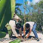 Iberostar aims for carbon neutrality in hotel operations by 2030